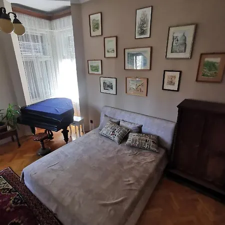Antikvilla Szeged